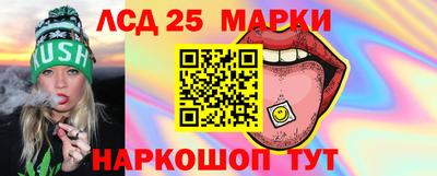 крисы Будённовск