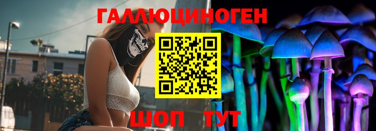 Псилоцибиновые грибы MAGIC MUSHROOMS  Вход с VPN  Нижний Новгород  Псилоцибиновые грибы мухоморы 